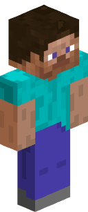 Minecraft skin of Config