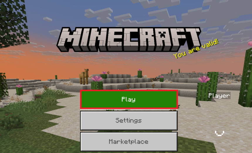 Open Minecraft and tap Play