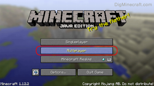 Open Minecraft and click Multiplayer