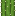 Cactus Collector