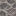 Dead Brain Coral Block