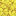 Horn Coral Block