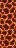 Magma 2025 Enchants
