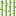 Sugar Cane Cutter